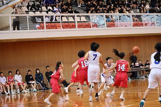 IMG_2213.jpg