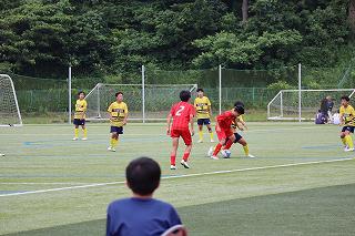 IMG_7698.jpg