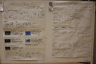 IMG_2500.jpg