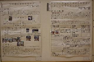 IMG_2501.jpg