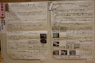 IMG_2512.jpg