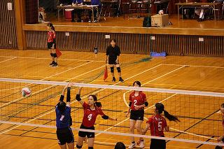 IMG_2517.jpg