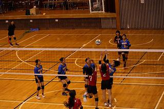 IMG_2550.jpg