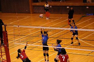 IMG_2553.jpg