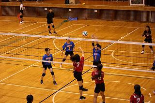 IMG_2555.jpg