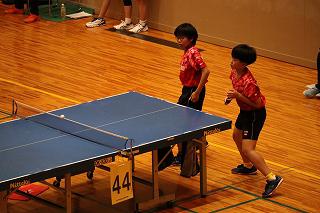 IMG_2870.jpg