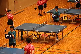IMG_2921.jpg
