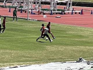 IMG_0321.jpg