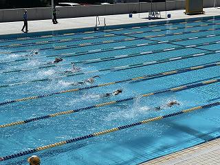 IMG_0332.jpg