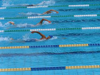 IMG_3205.jpg