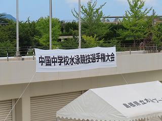 IMG_3214.jpg