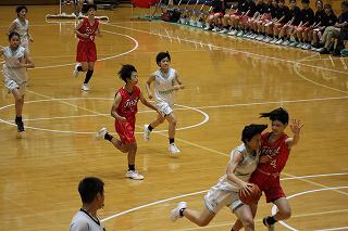 IMG_1330.jpg