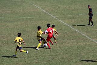 IMG_3418.jpg