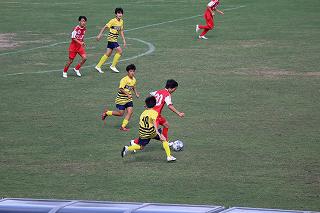 IMG_3517.jpg