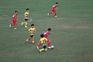 IMG_3519.jpg