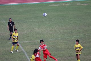 IMG_3525.jpg