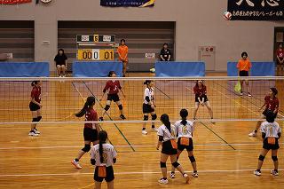 IMG_3546.jpg