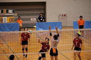 IMG_3559.jpg