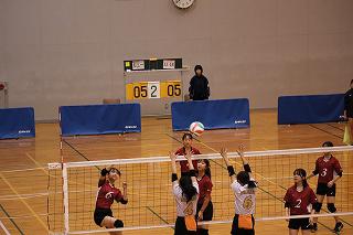 IMG_3576.jpg