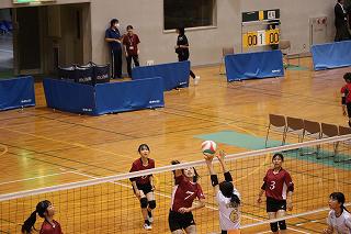 IMG_3578.jpg