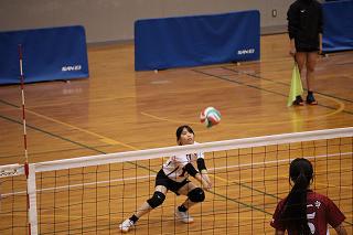 IMG_3587.jpg