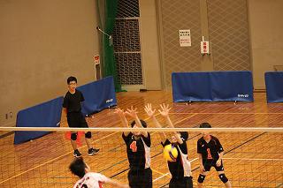 IMG_3622.jpg