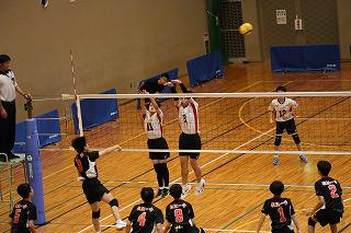 IMG_3635.jpg