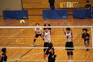 IMG_3637.jpg