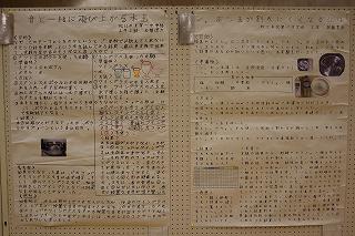 IMG_2506.jpg