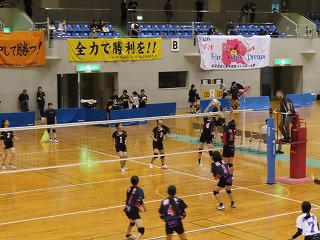 IMG_3644.jpg