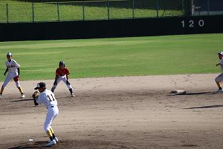 IMG_3667.jpg