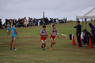 IMG_3760.jpg
