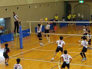 IMG_3794.jpg