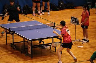 IMG_2841.jpg