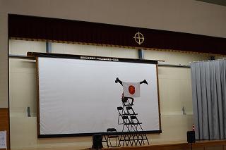 IMG_4177.jpg