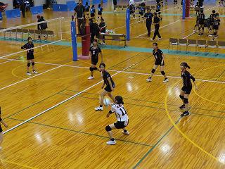 IMG_3673.jpg
