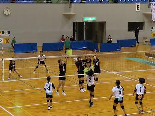 IMG_3753.jpg