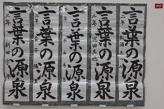 IMG_4359.jpg