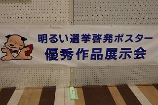 IMG_4473.jpg