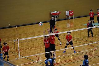 IMG_4537.jpg