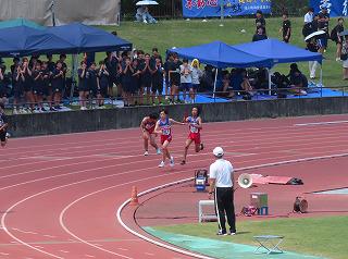 IMG_4584.jpg
