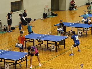 IMG_4637.jpg