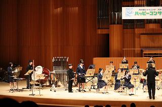 IMG_4646.jpg
