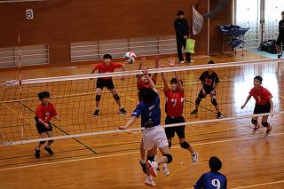IMG_4784.jpg