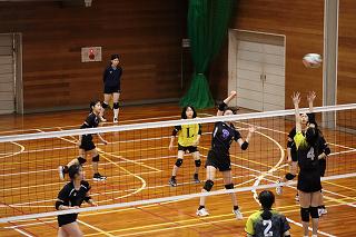 IMG_4916.jpg
