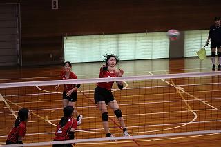 IMG_5092.jpg