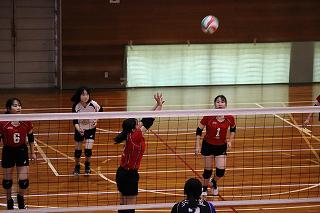 IMG_5103.jpg