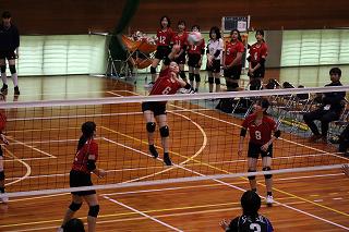 IMG_5178.jpg