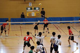 IMG_5215.jpg