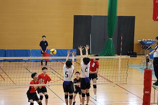 IMG_5228.jpg